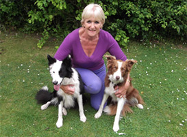 Carol Hayes with Belle and Mist - both regulars to the Mutts2Marvels dog training club in Isycoed (situated between Wrexham and Chester)