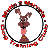 Mutts 2 Marvels Dog Training Club in Isycoed (situated between Wrexham and Chester)